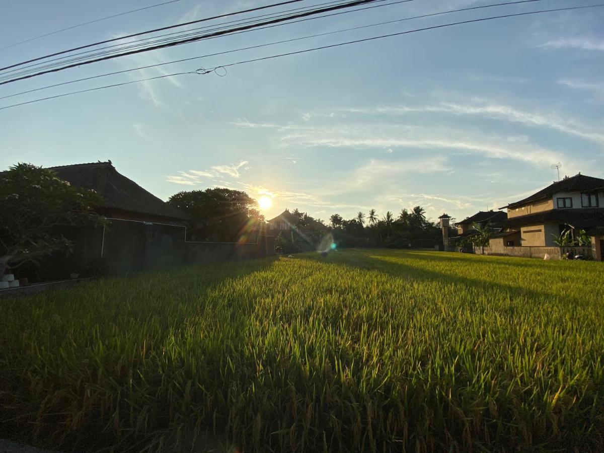 Rumah Dadong Ubud Dış mekan fotoğraf