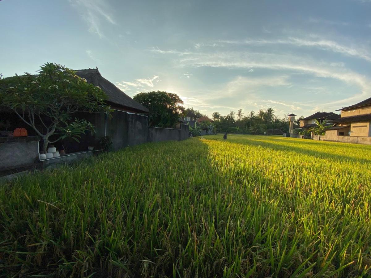 Rumah Dadong Ubud Dış mekan fotoğraf